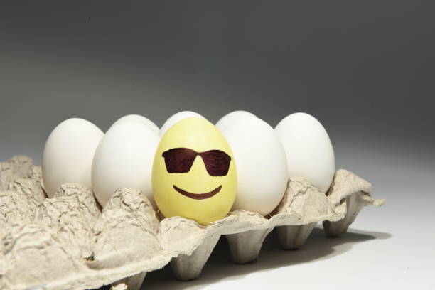 Egg Vegan Egg Vegan