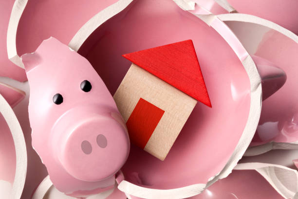 bounce house rentals bounce house rentals